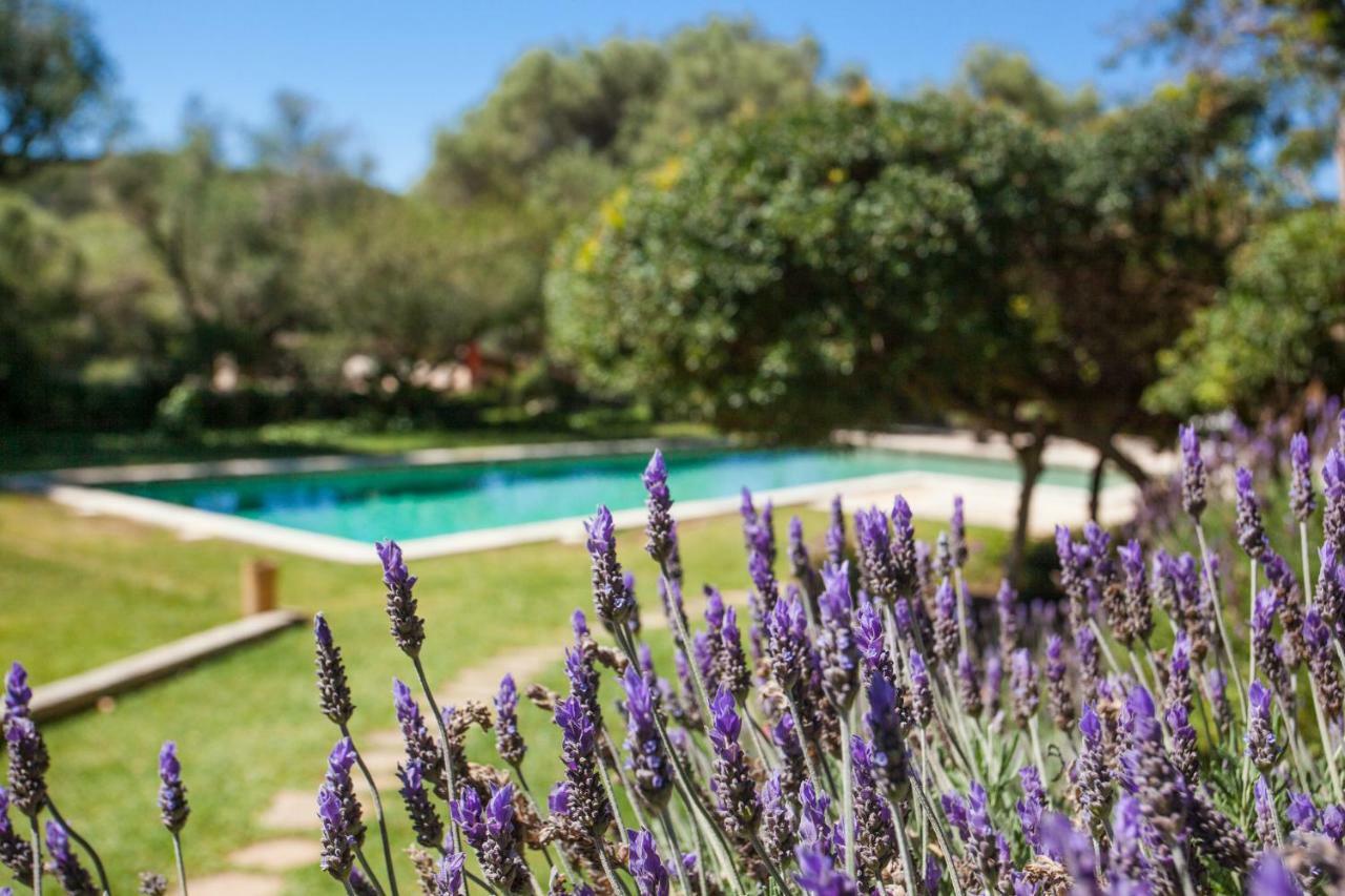 Oliver Moragues Grandhouse & Vineyard Algaida  Exteriör bild